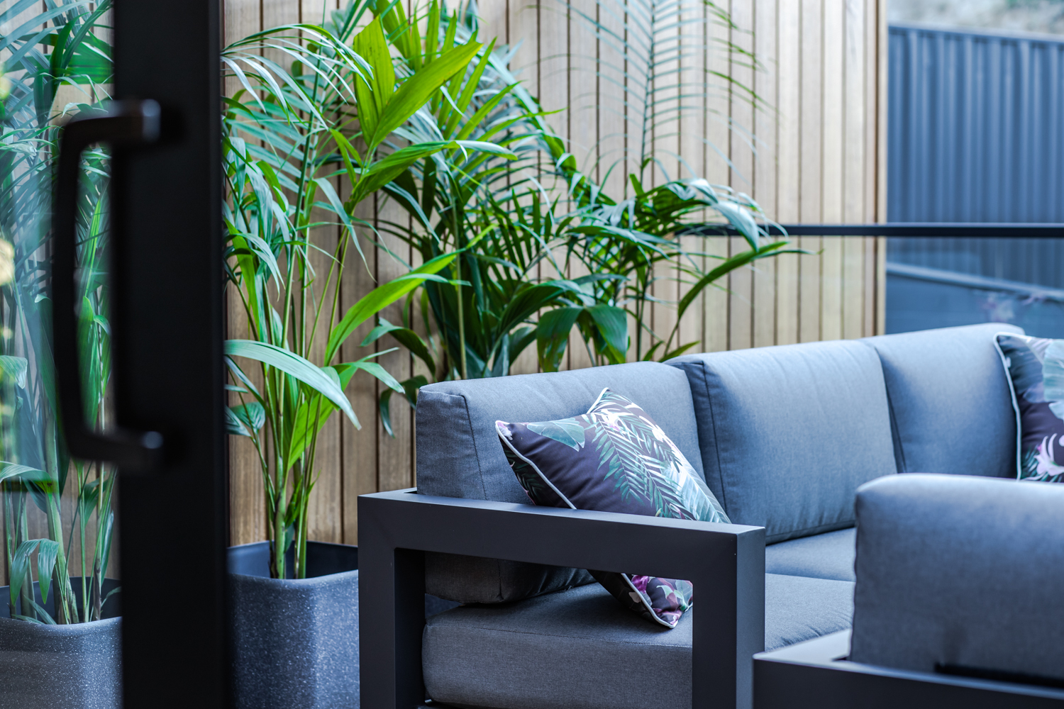 Pohan 1500 RGB 300dpi 36