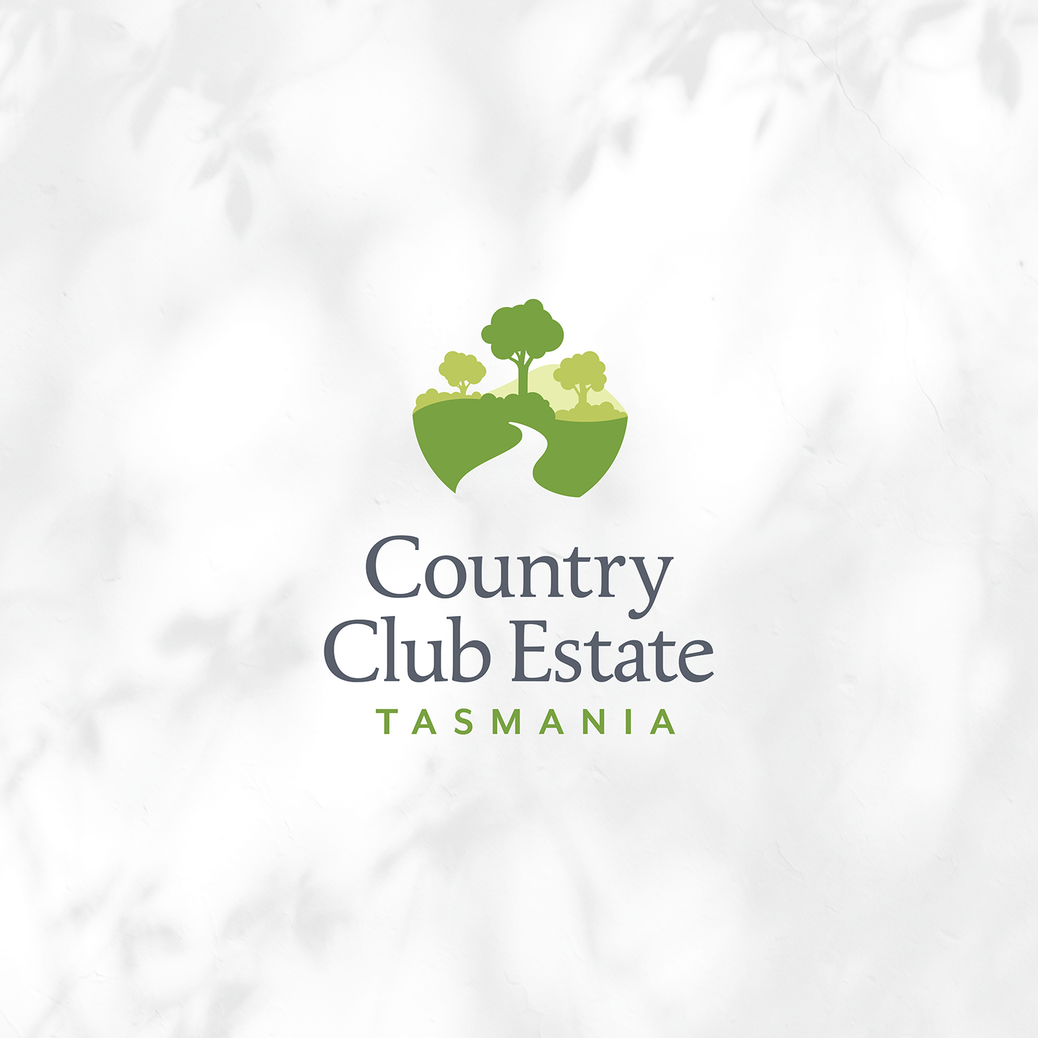 1 1 CCE Logo Social Tiles Square