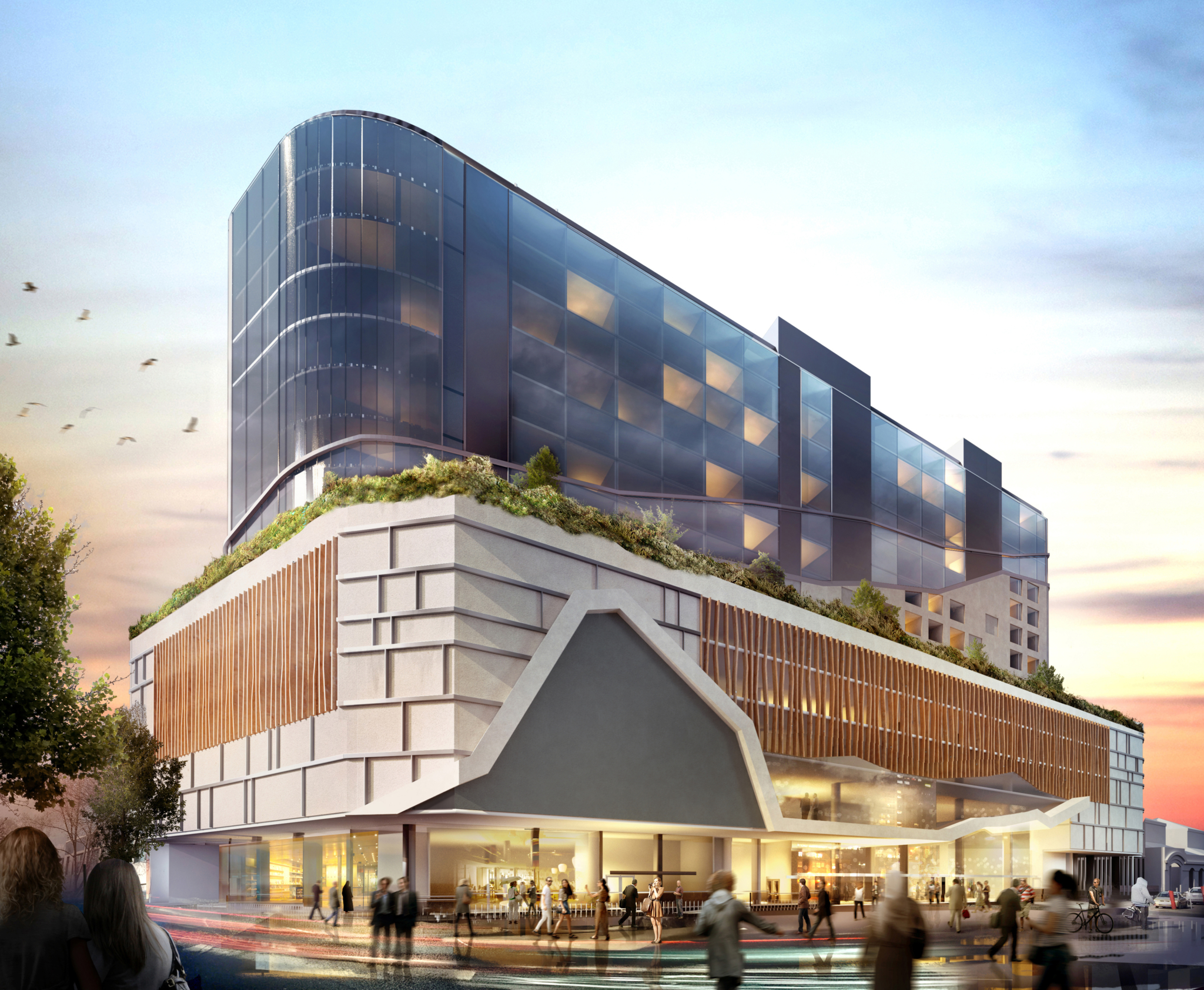 Collins Updated Cropped