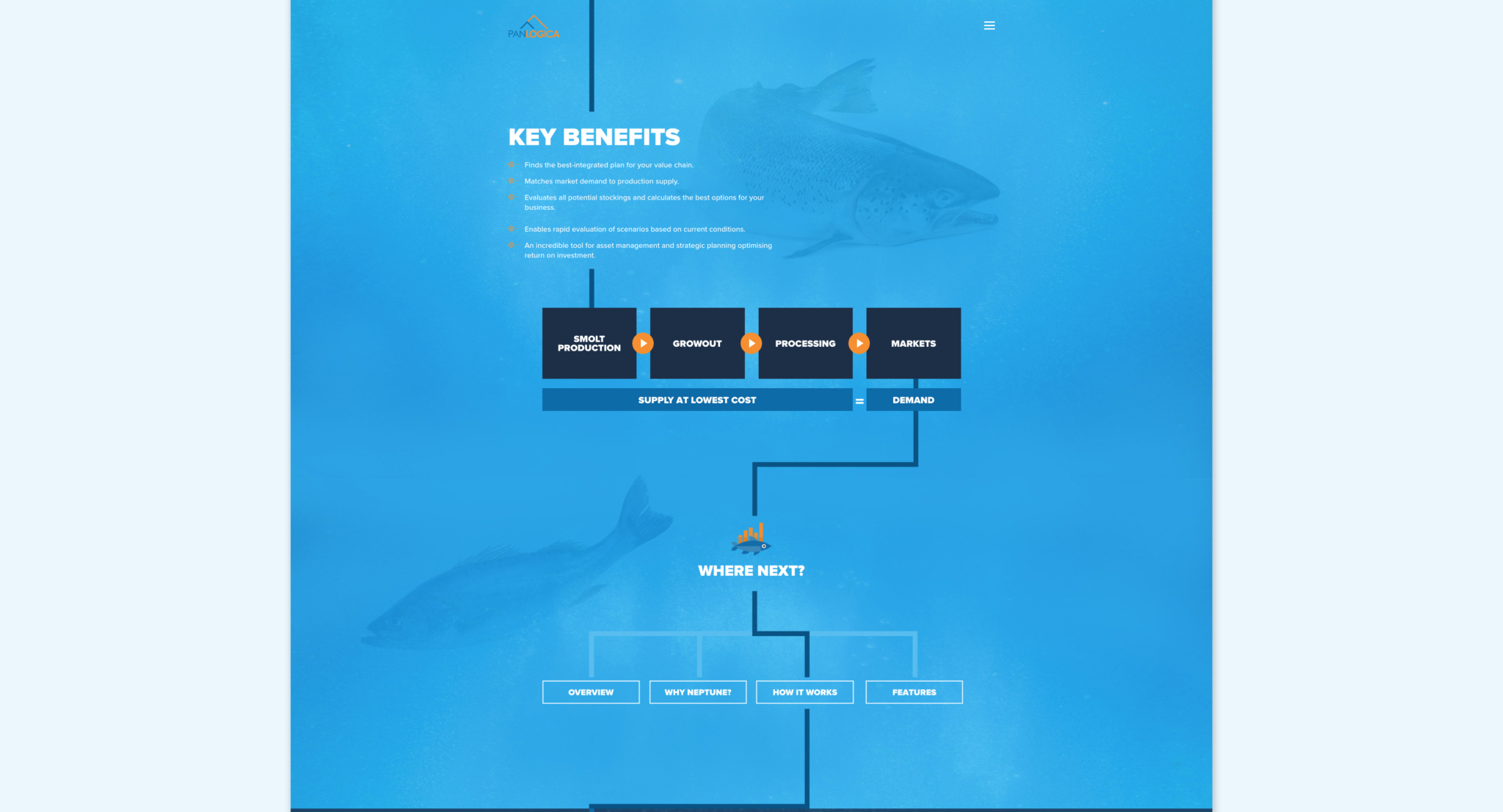 Panlogica Website 3 3512 RGB 300dpi