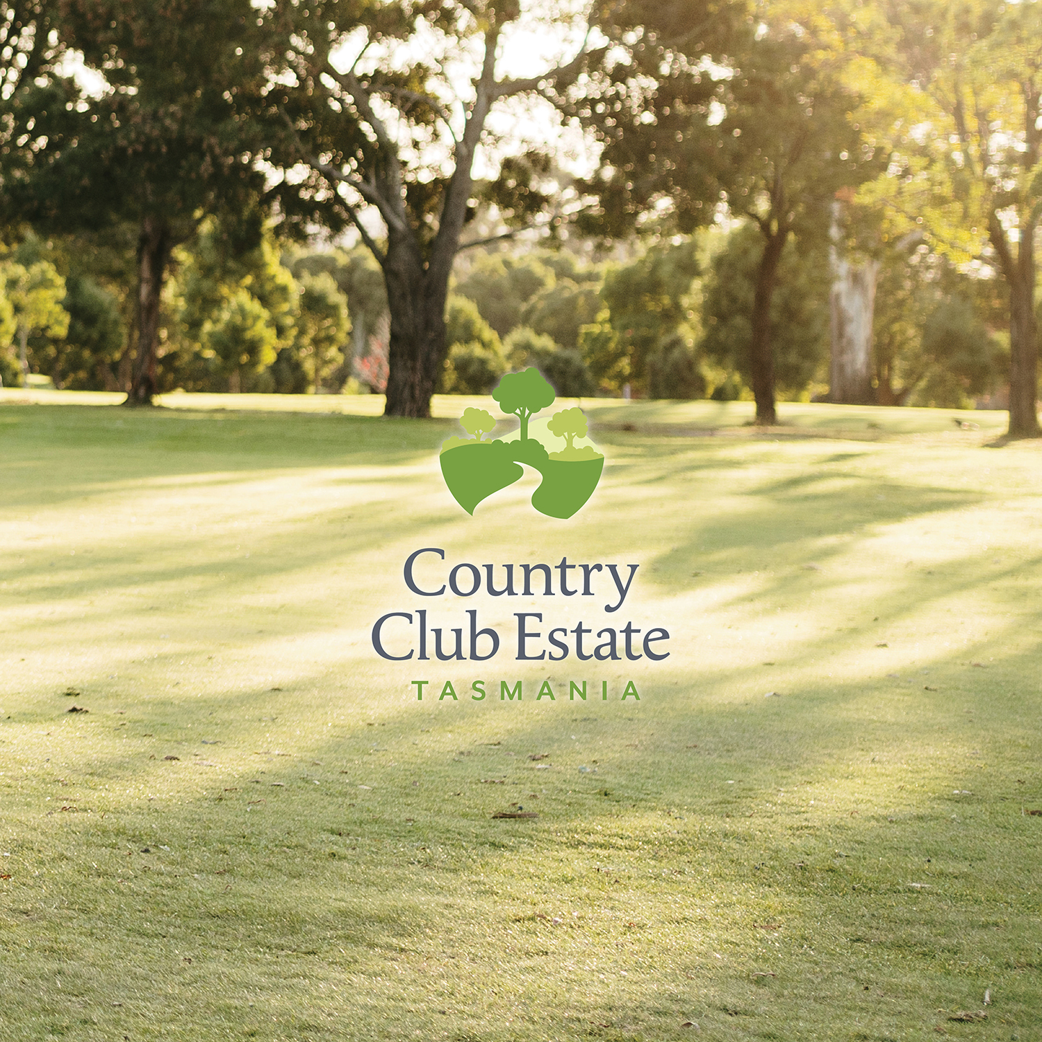 1 CCE Social Grid Cover Tile 1