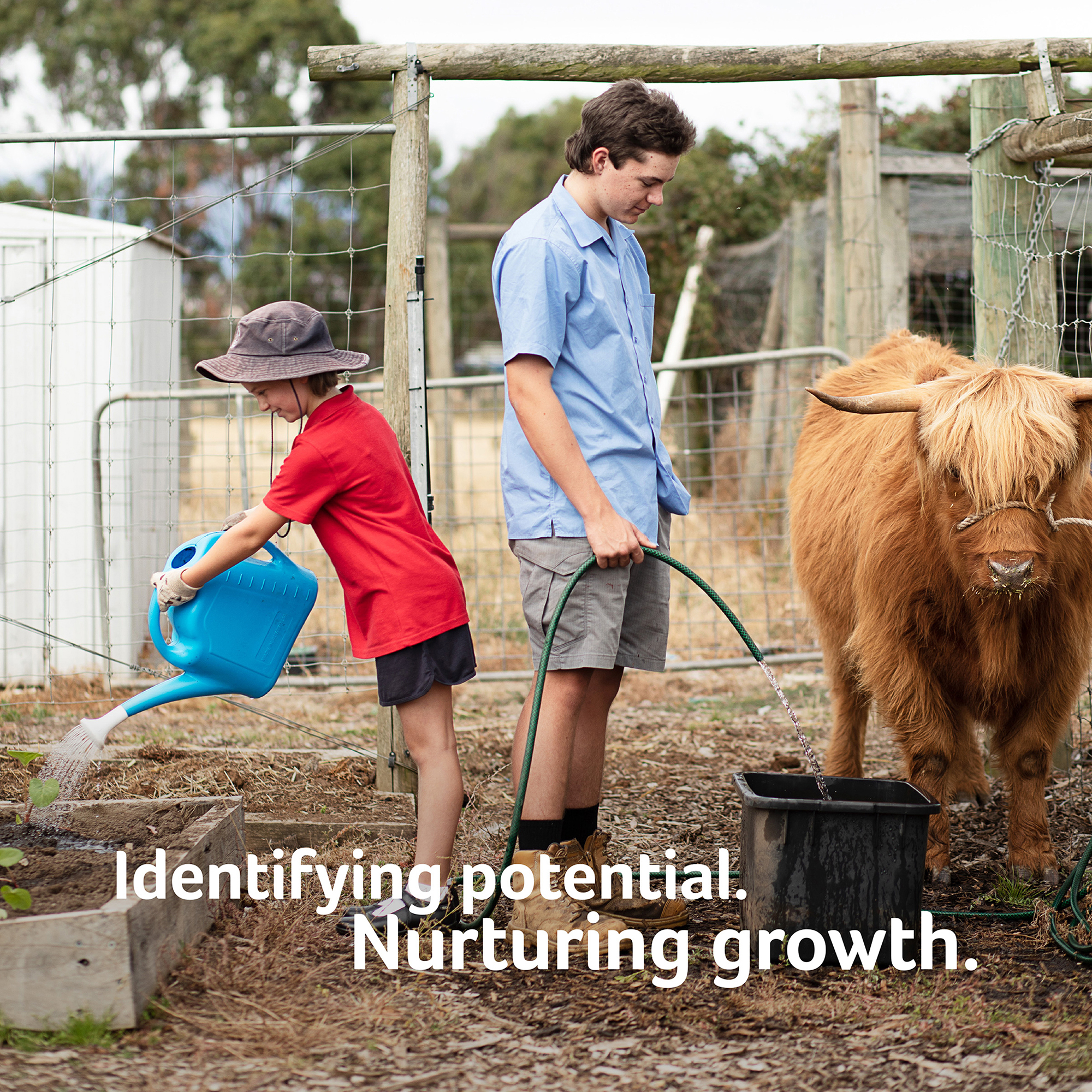 Cressy Social Tile Ag Studies