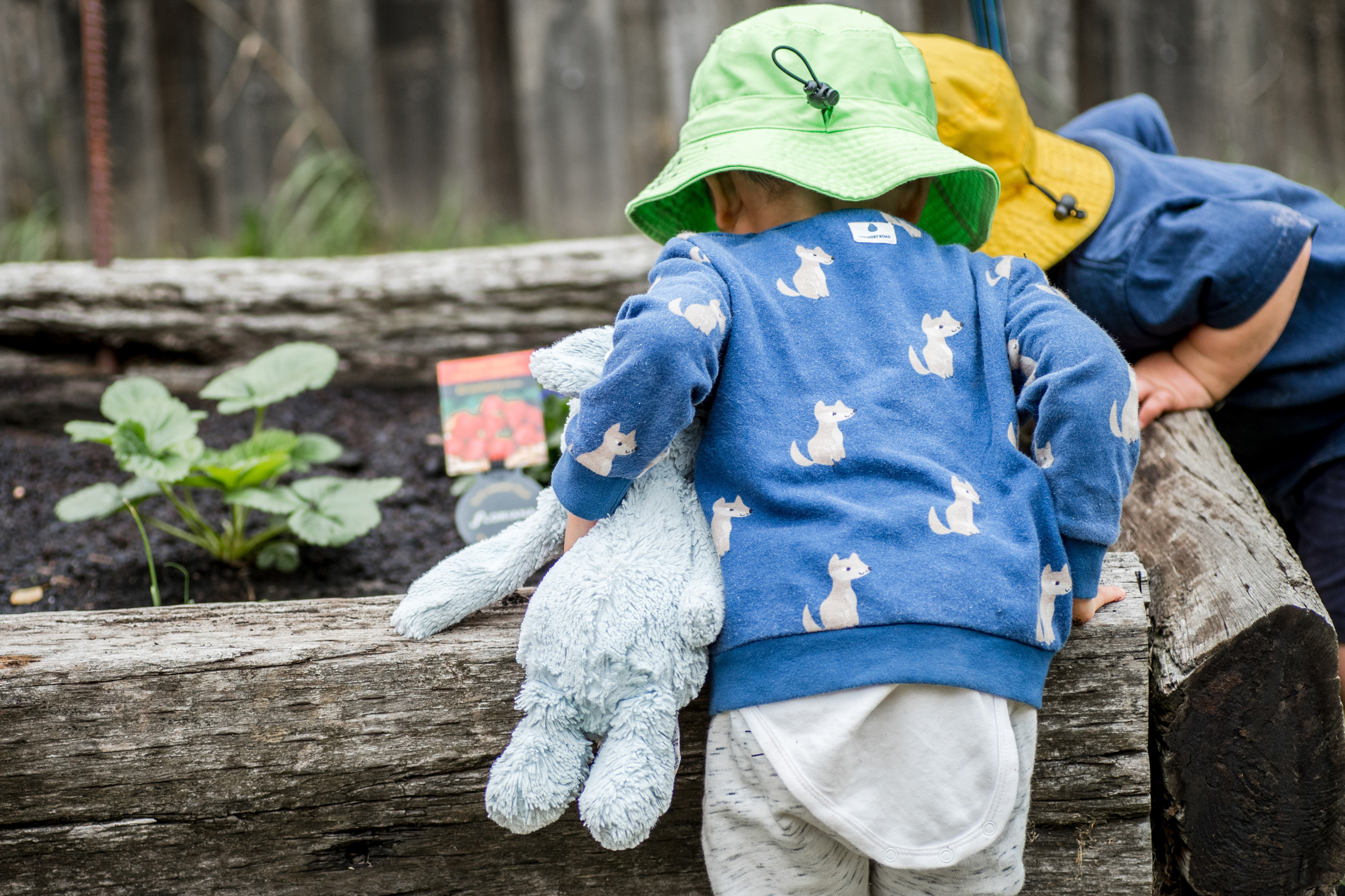 Discovery Photography 1 3000 RGB 72dpi