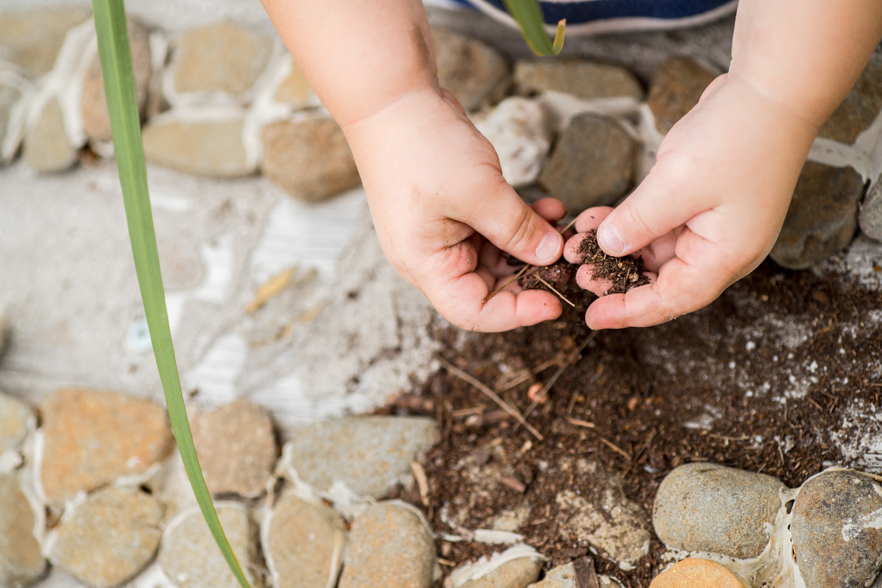 Discovery Photography 2 3000 RGB 72dpi