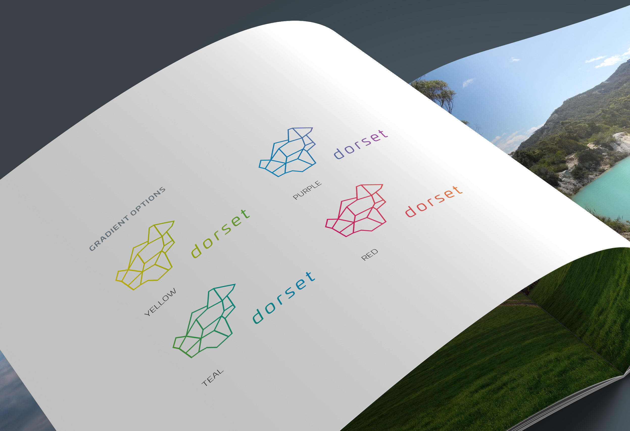 Dorset Council Logo 2494 RGB 72dpi