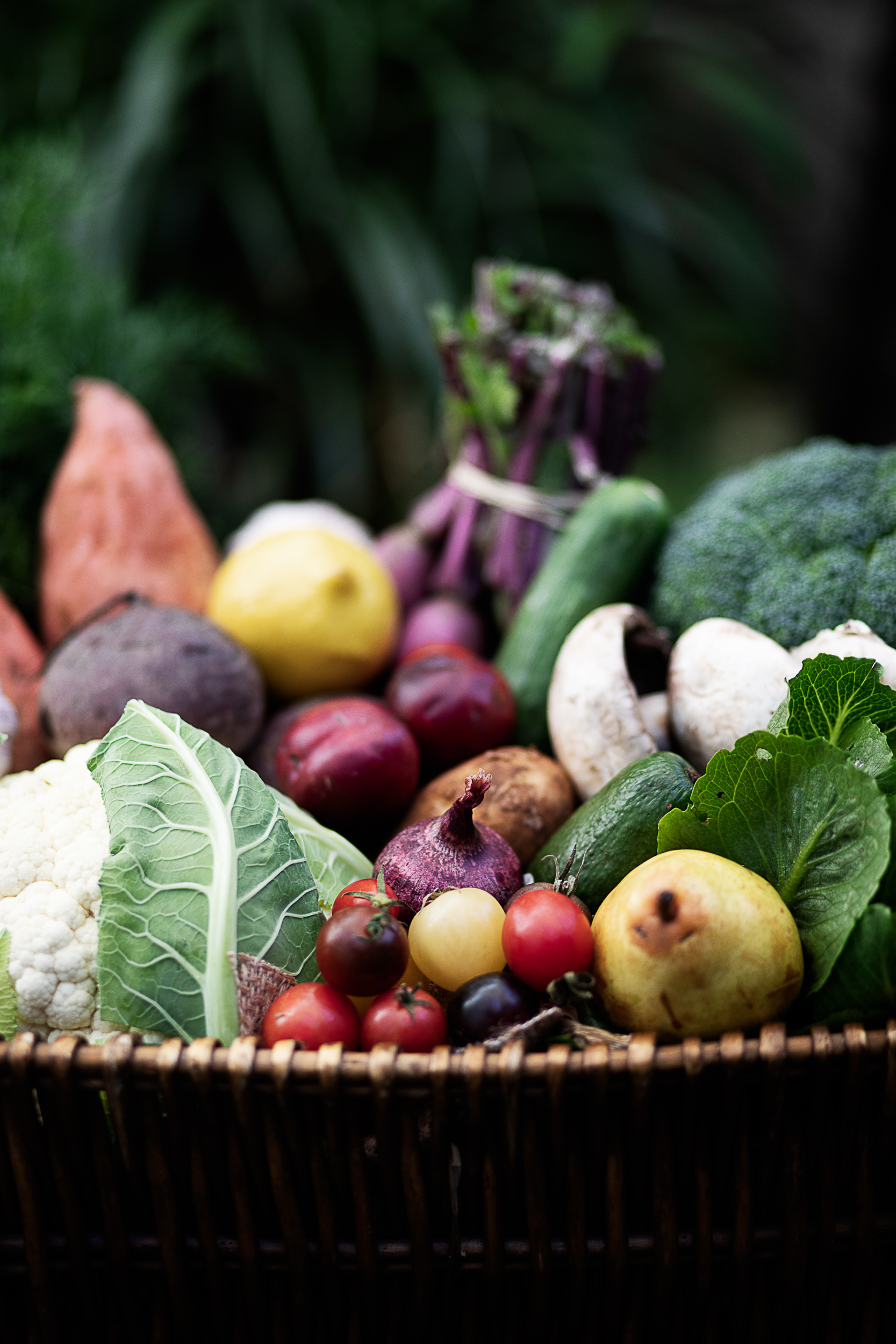 EE Online Menu Low Res RGB 72dpi 042