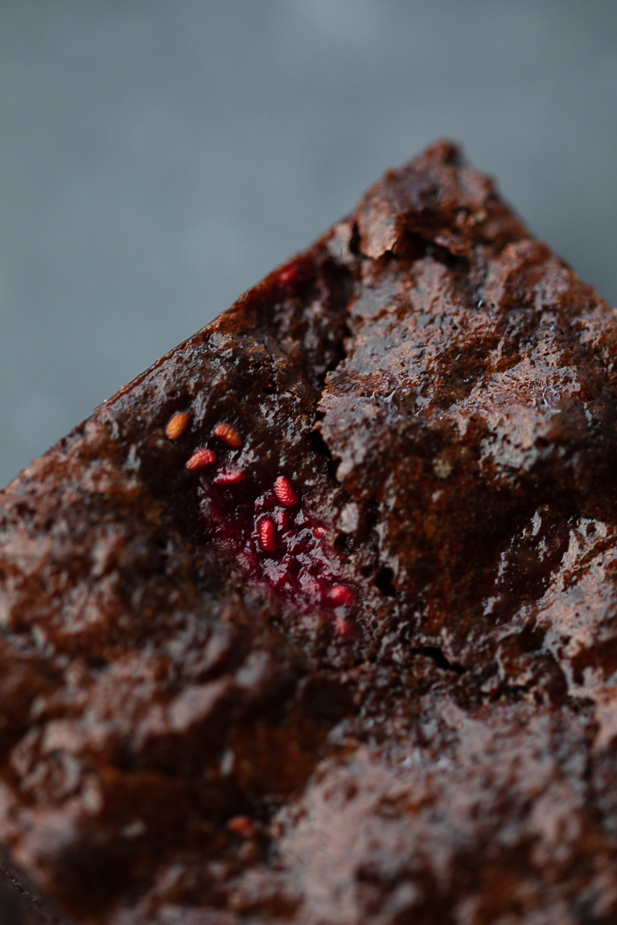 DDB High Res RGB 300dpi 063