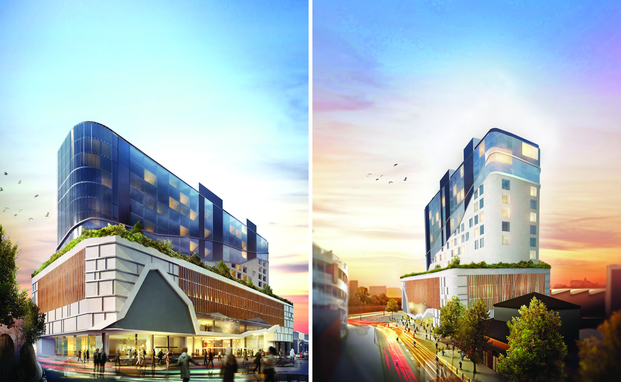 Collins Updated Double Shot