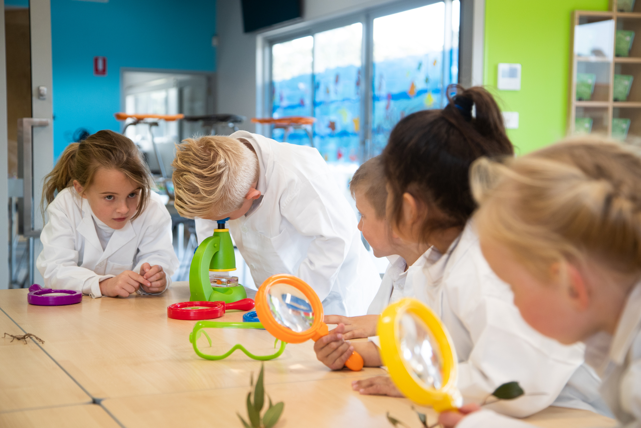 DCS STEM High res 21