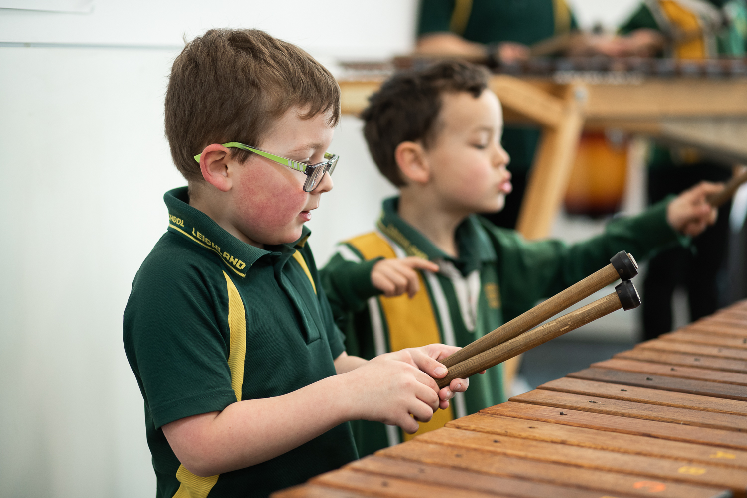 Leighland Primary low res 1