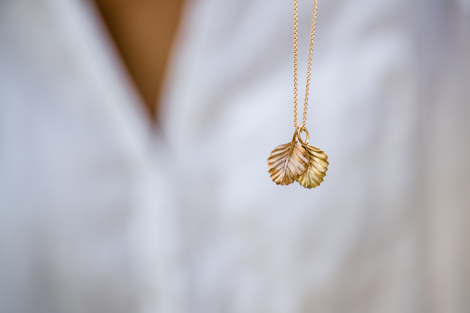 CJ Fagus RGB 300dpi 11