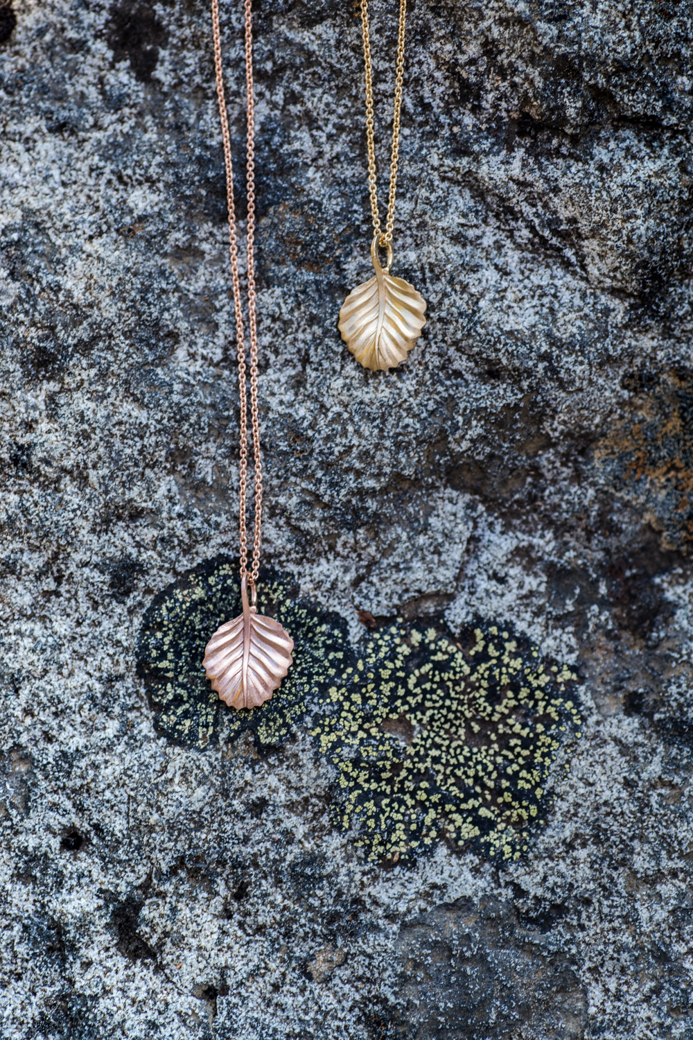 CJ Fagus RGB 300dpi 41