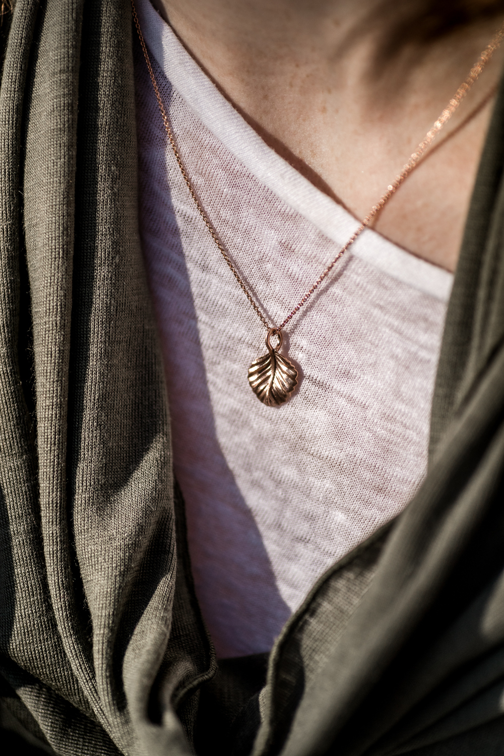 CJ Fagus RGB 300dpi 58