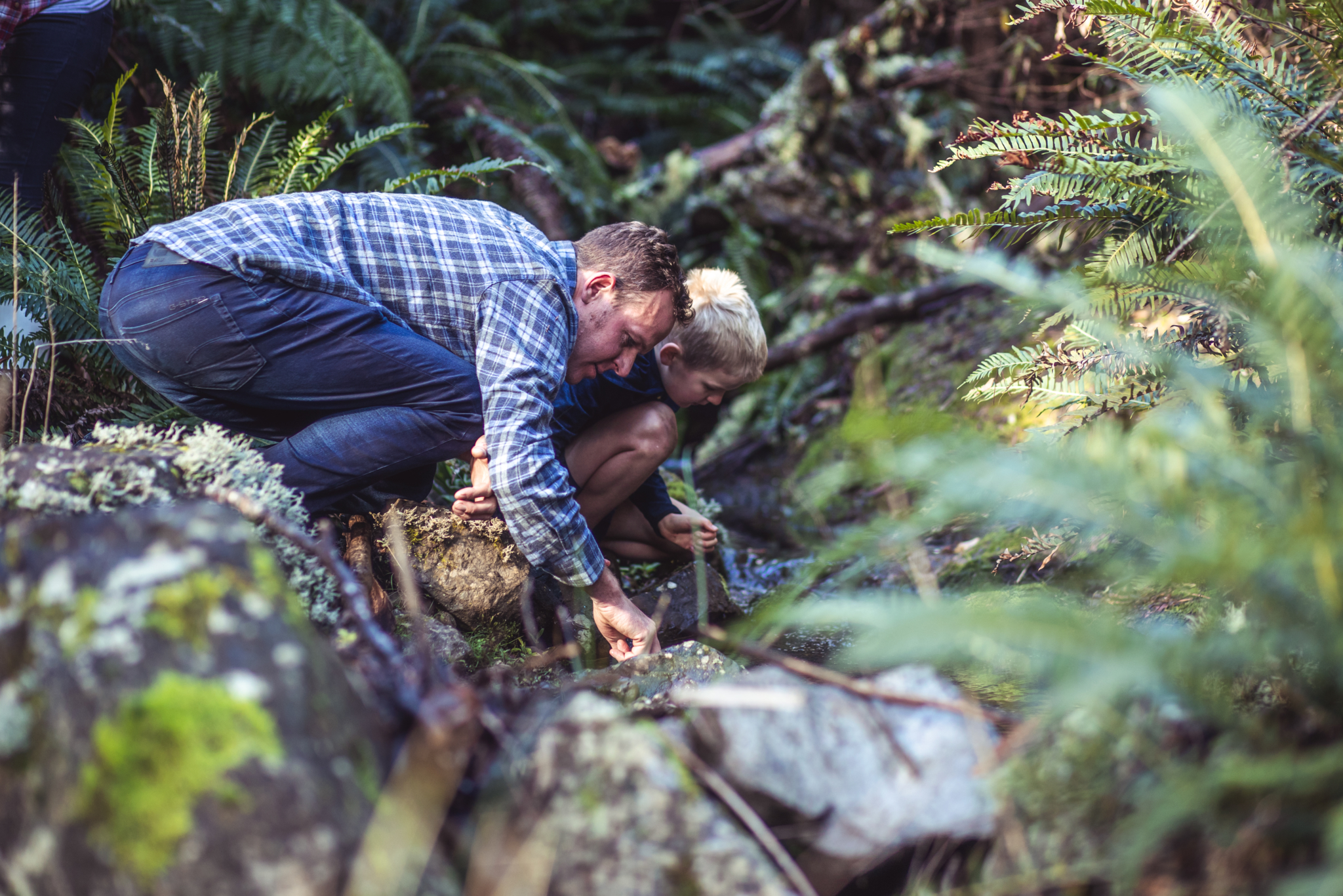 Dales Of Derby RGB 300dpi 56