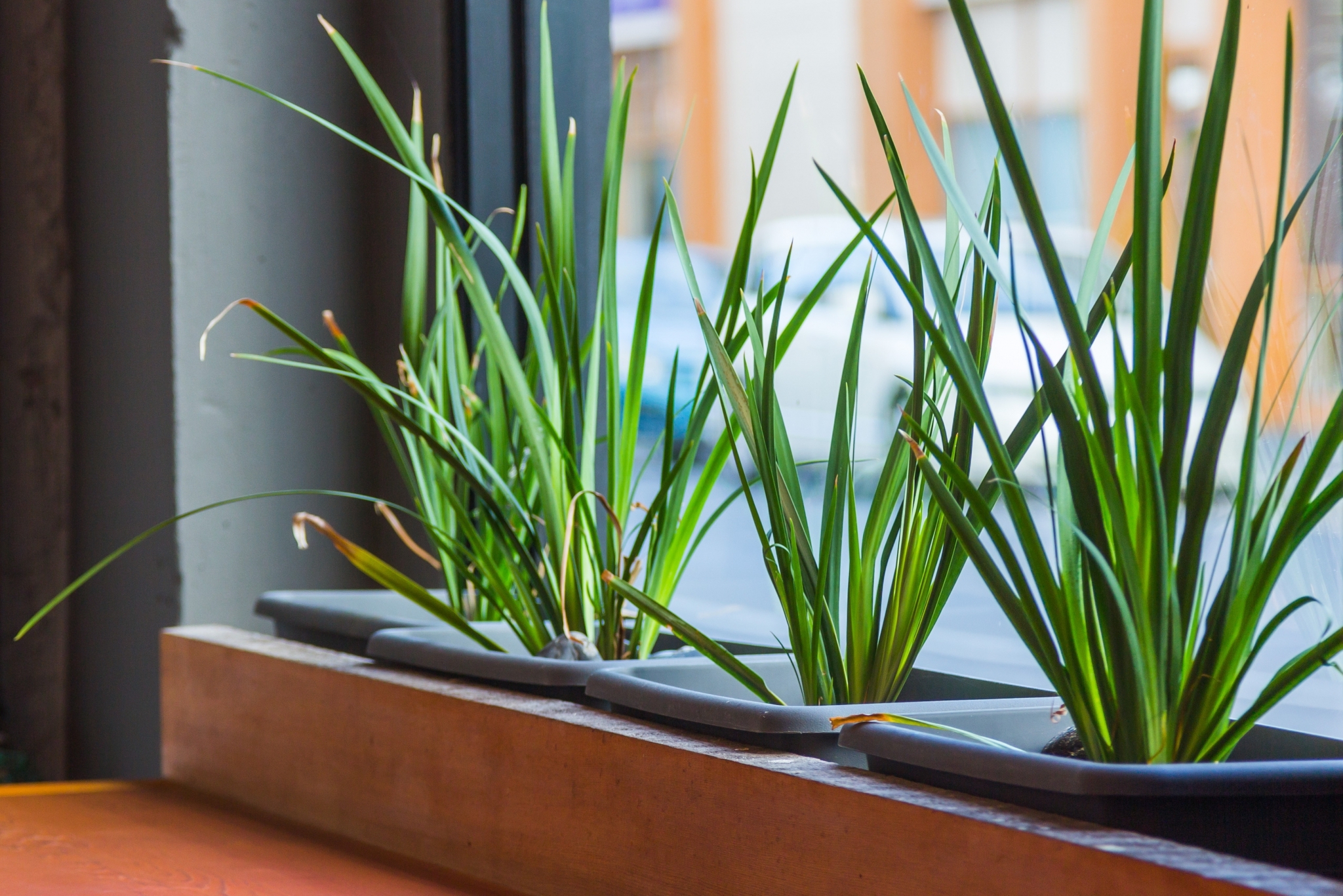 Earthy Eats S Group HD006