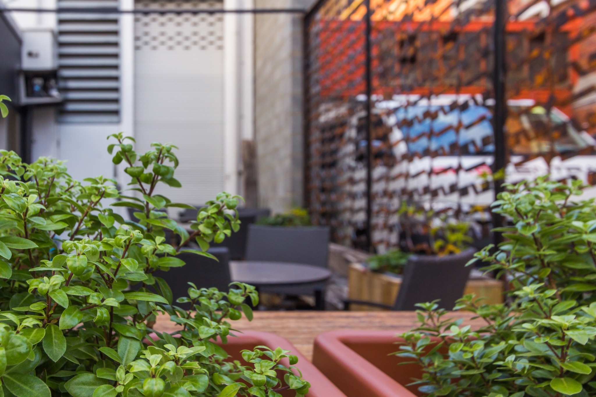 Earthy Eats S Group HD013