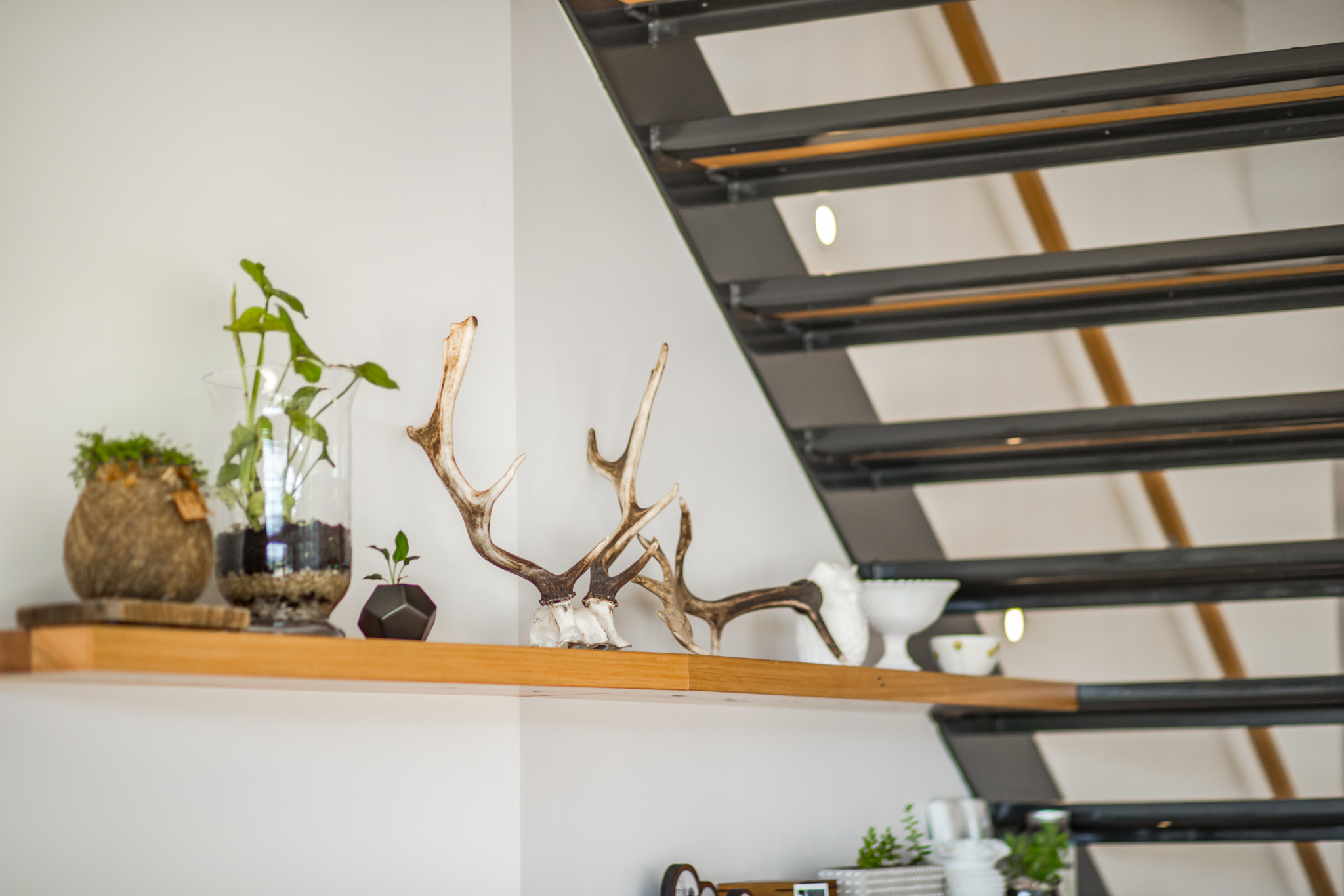 Fairfield RGB 300dpi 19