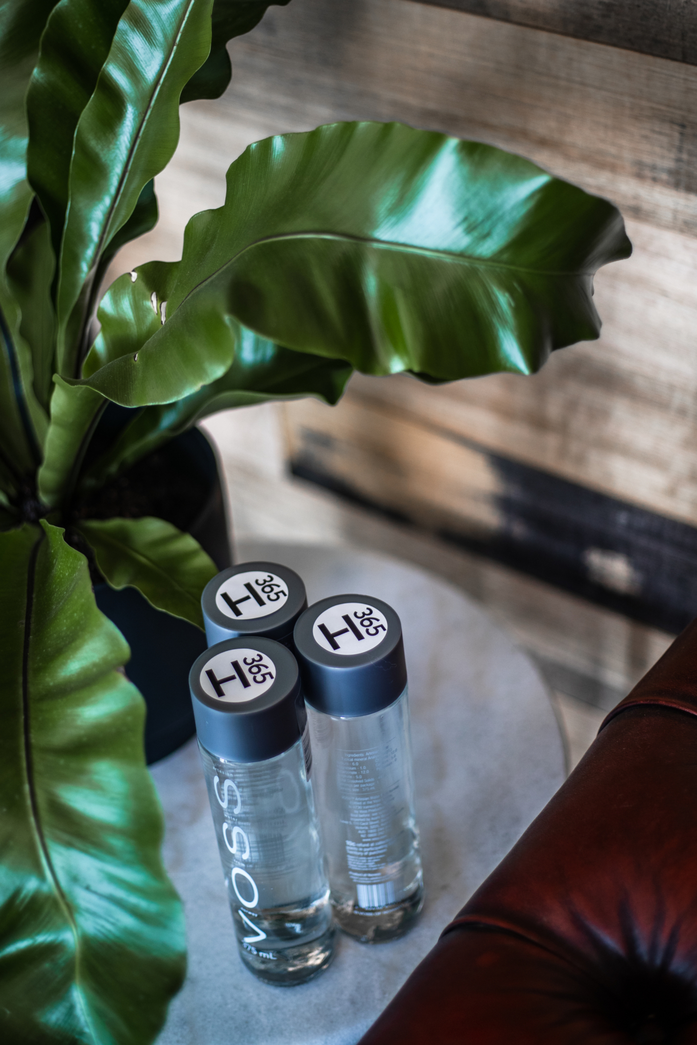 Hudson365 RGB 300dpi 18