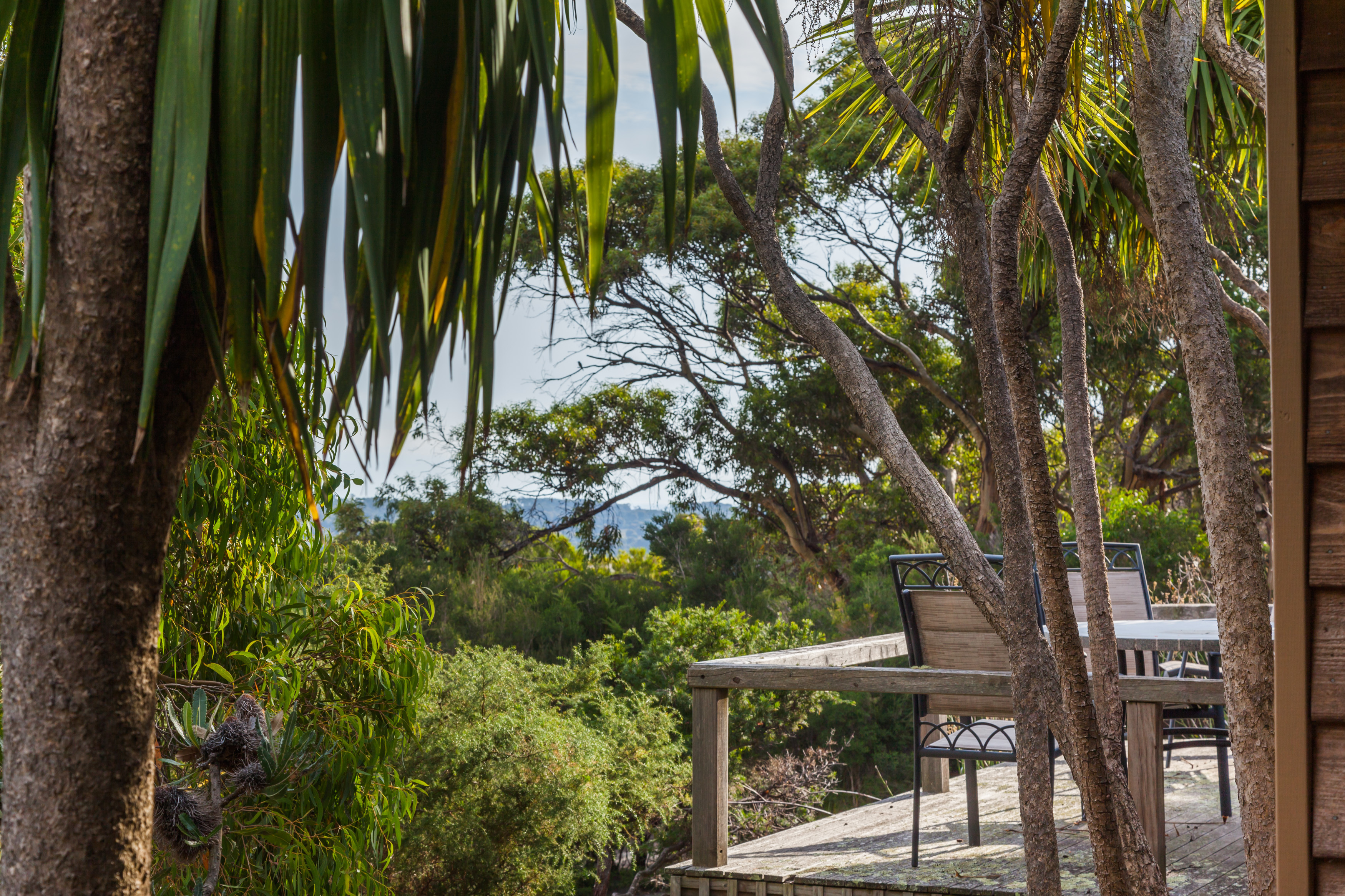 MS Ta Meri S Group Web015