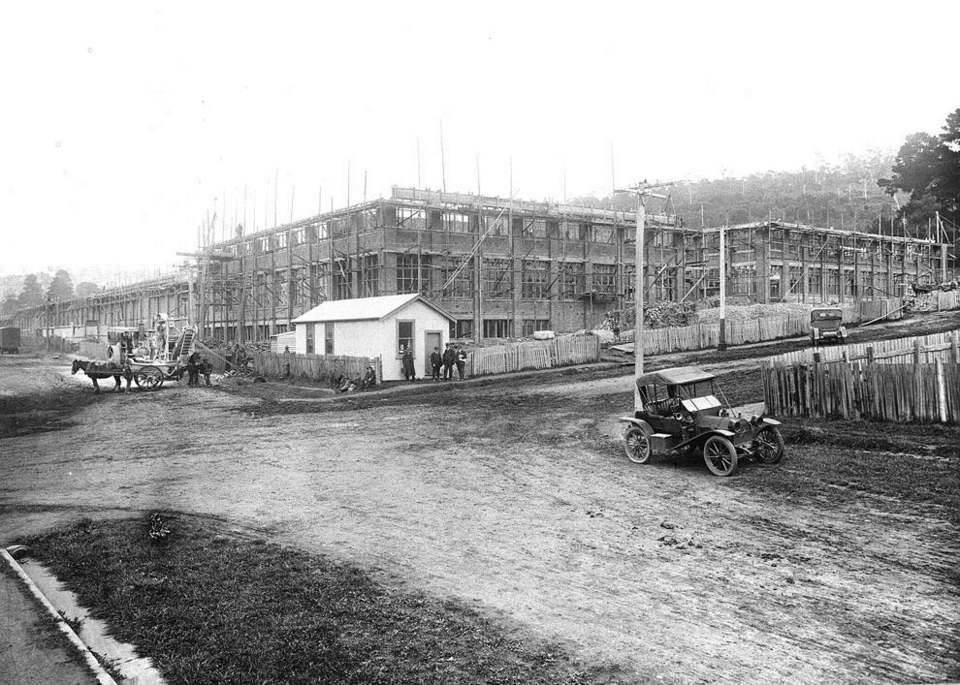 22528326 1425637810887638 5179741525784667749 n