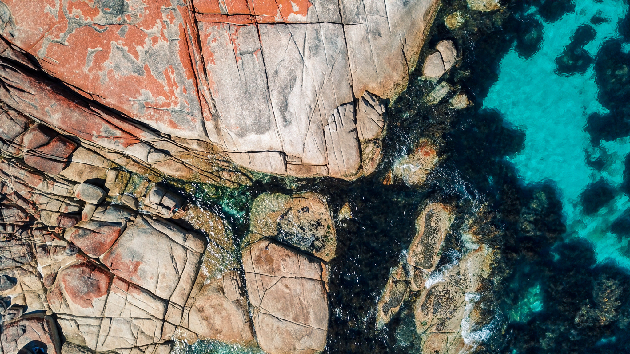 Shutterstock 1488254477