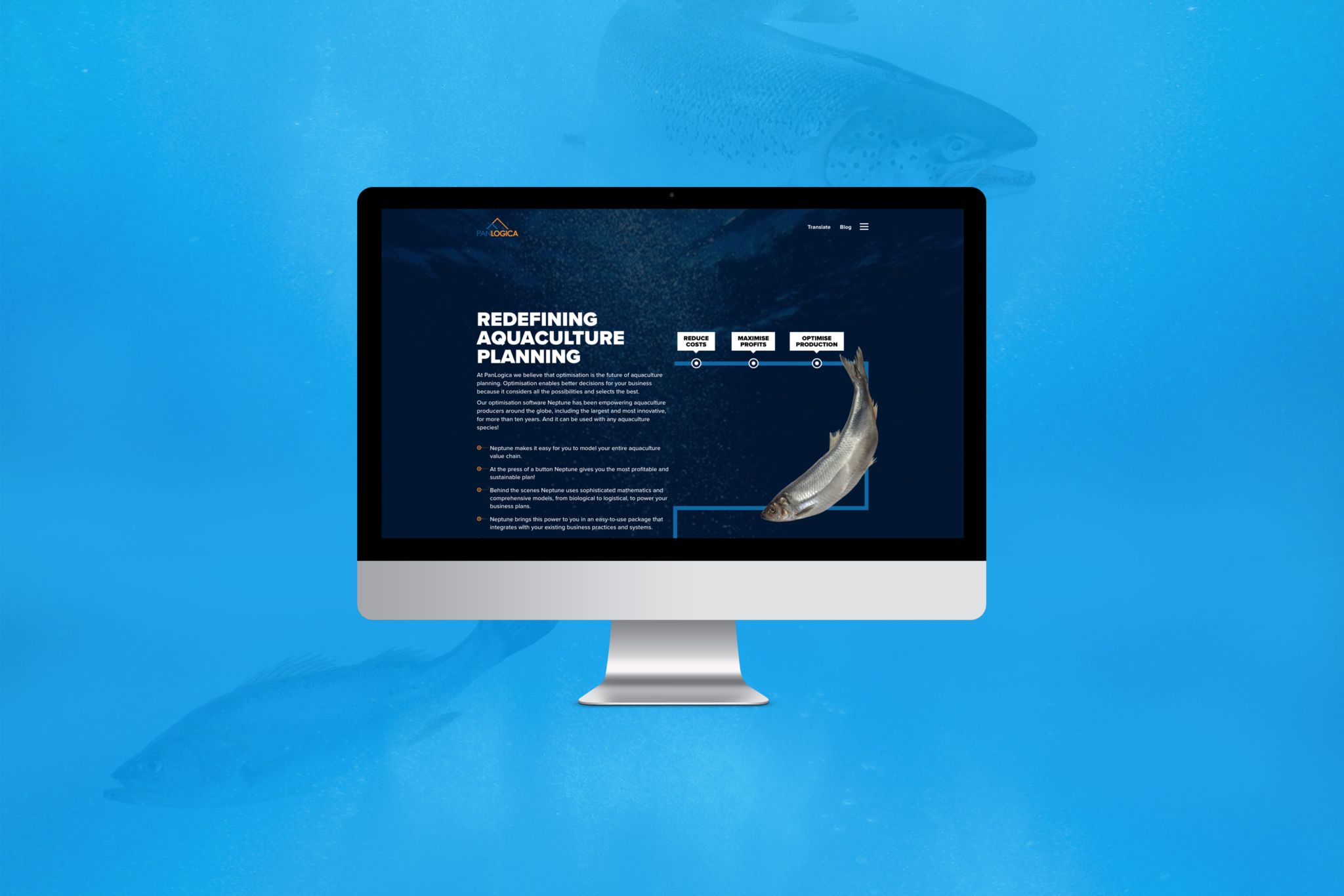 Panlogica Website Home 4692 RGB 300dpi