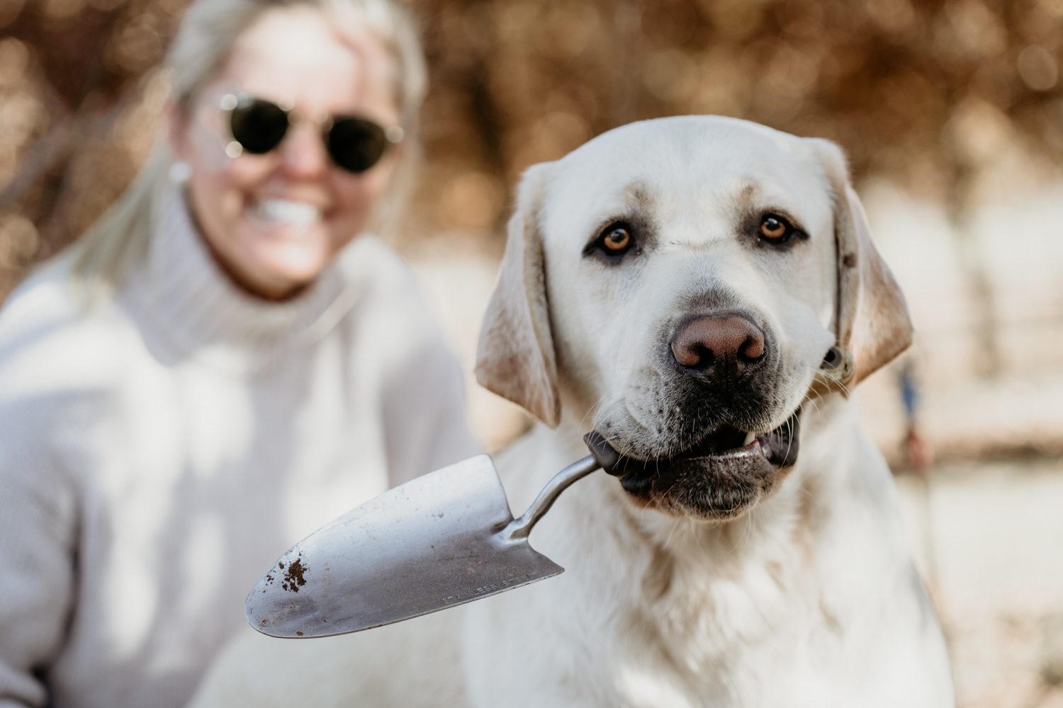 Tas Truffles RGB 300dpi 169