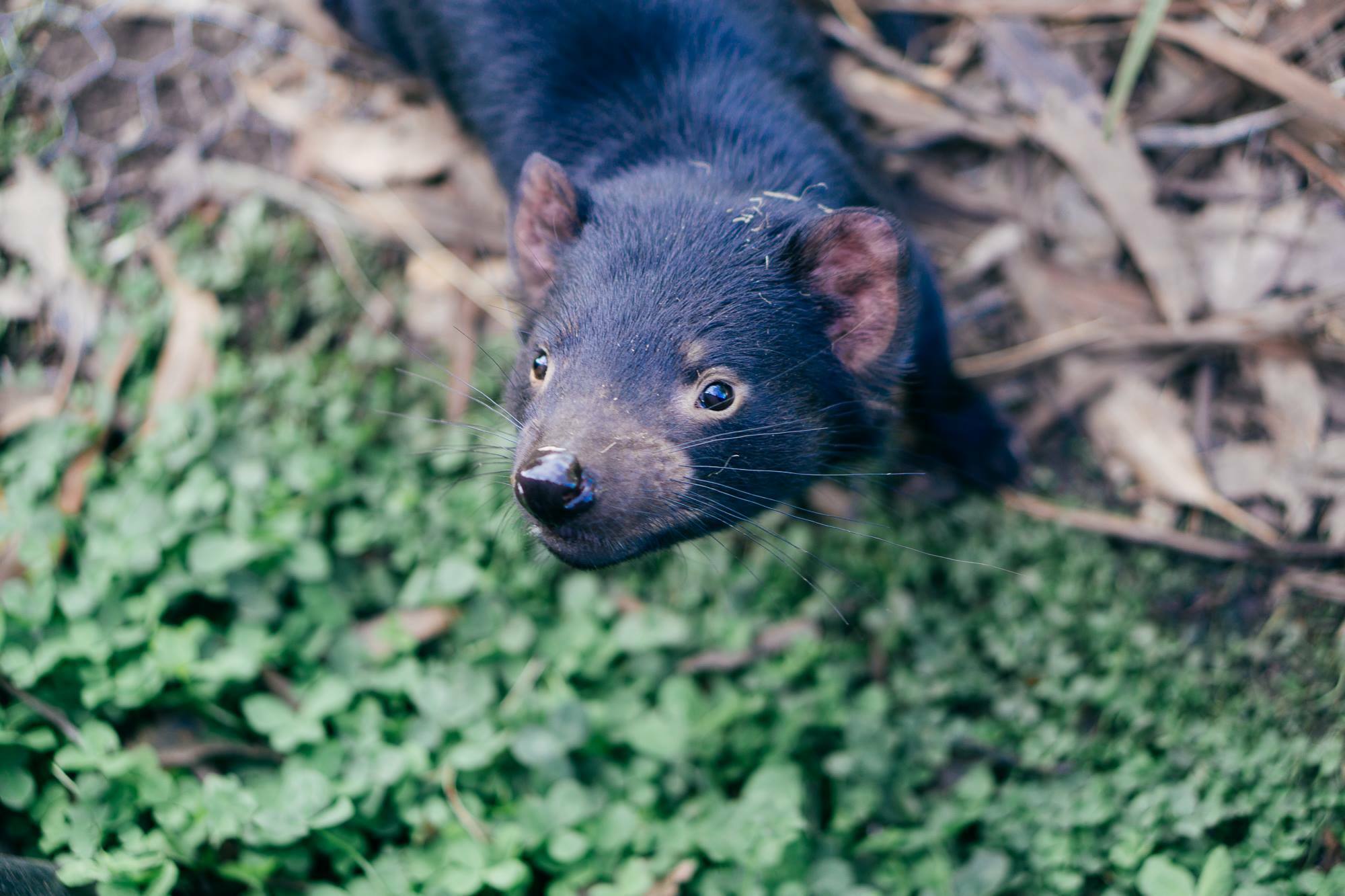 31073313 1786431494713365 7067878442351460352 o