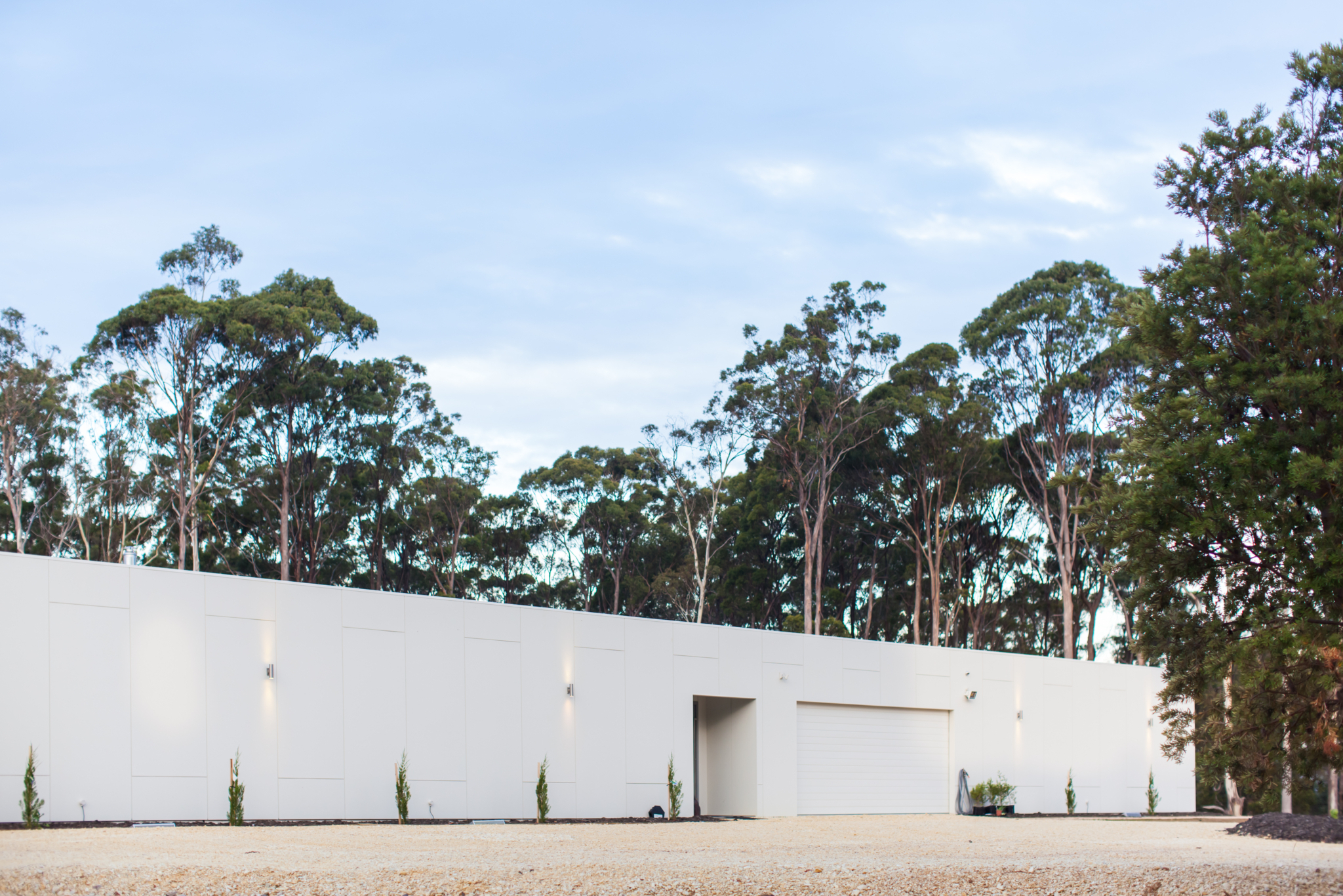 Siggins Sgroup Shoot HD029